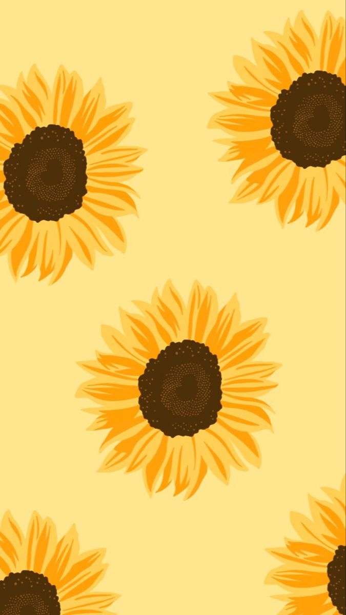 ✰Wallpaper. Sunflower wallpaper, Flower wallpaper, Cute wallpaper background