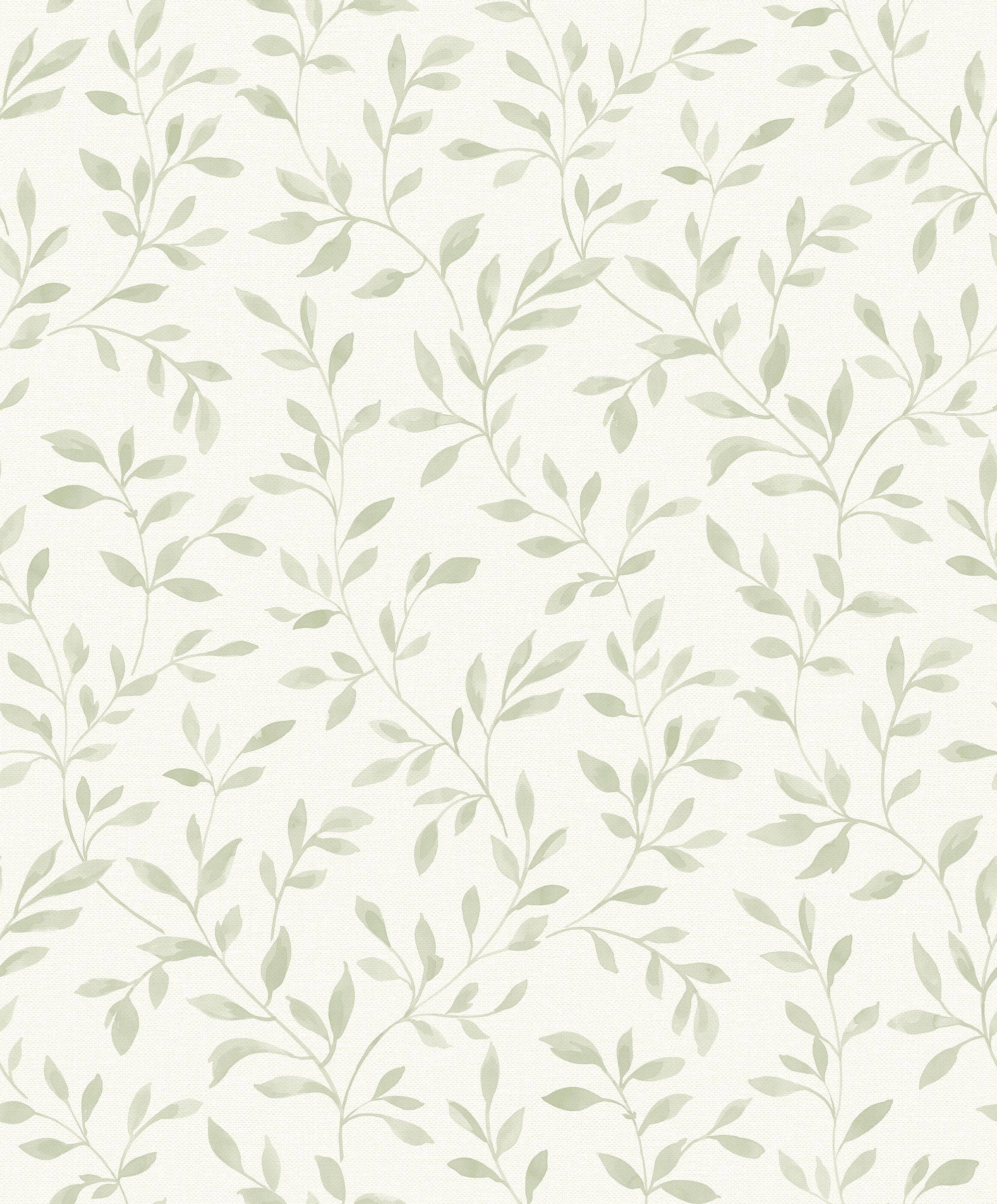 A green and white leaf pattern on the wall - Sage green