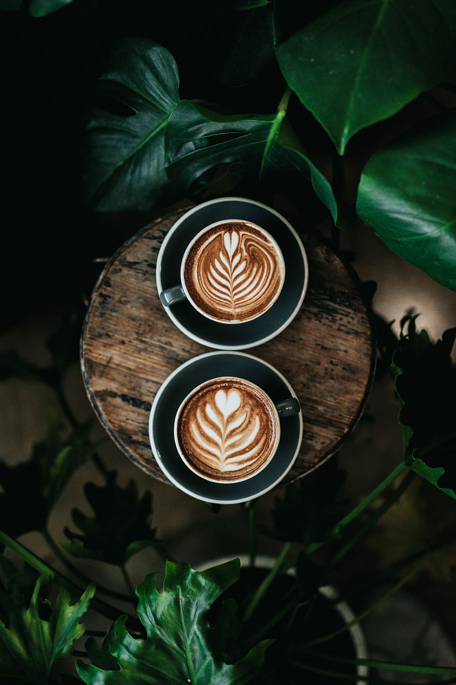Two cups of coffee on a table with plants - Coffee