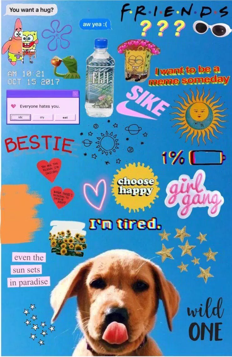 A collage of stickers including a dog, a bottle of water, and the words 'I'm tired' - VSCO, bestie