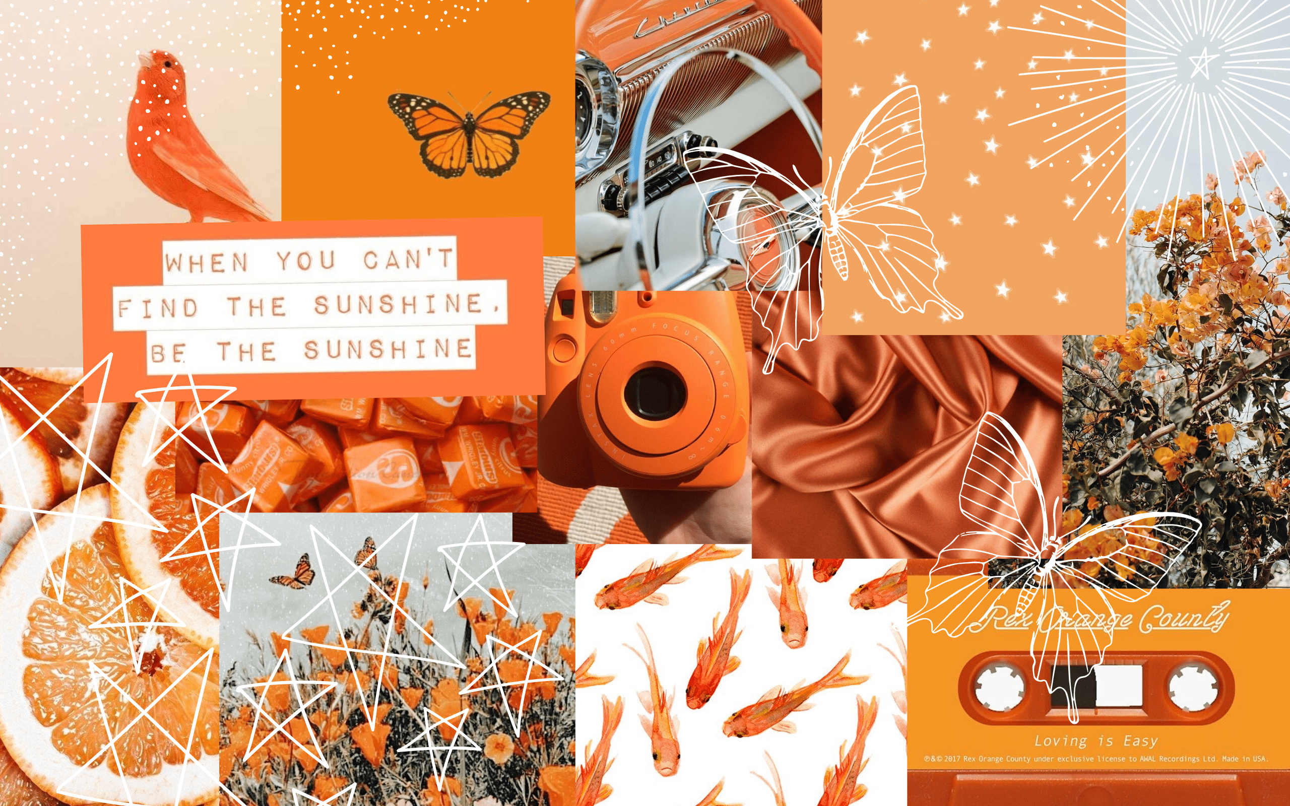 A collage of orange and white images including butterflies, fruit, and a camera. - Orange