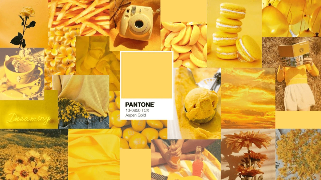A collage of images in yellow and shades of yellow. - Yellow, pastel yellow