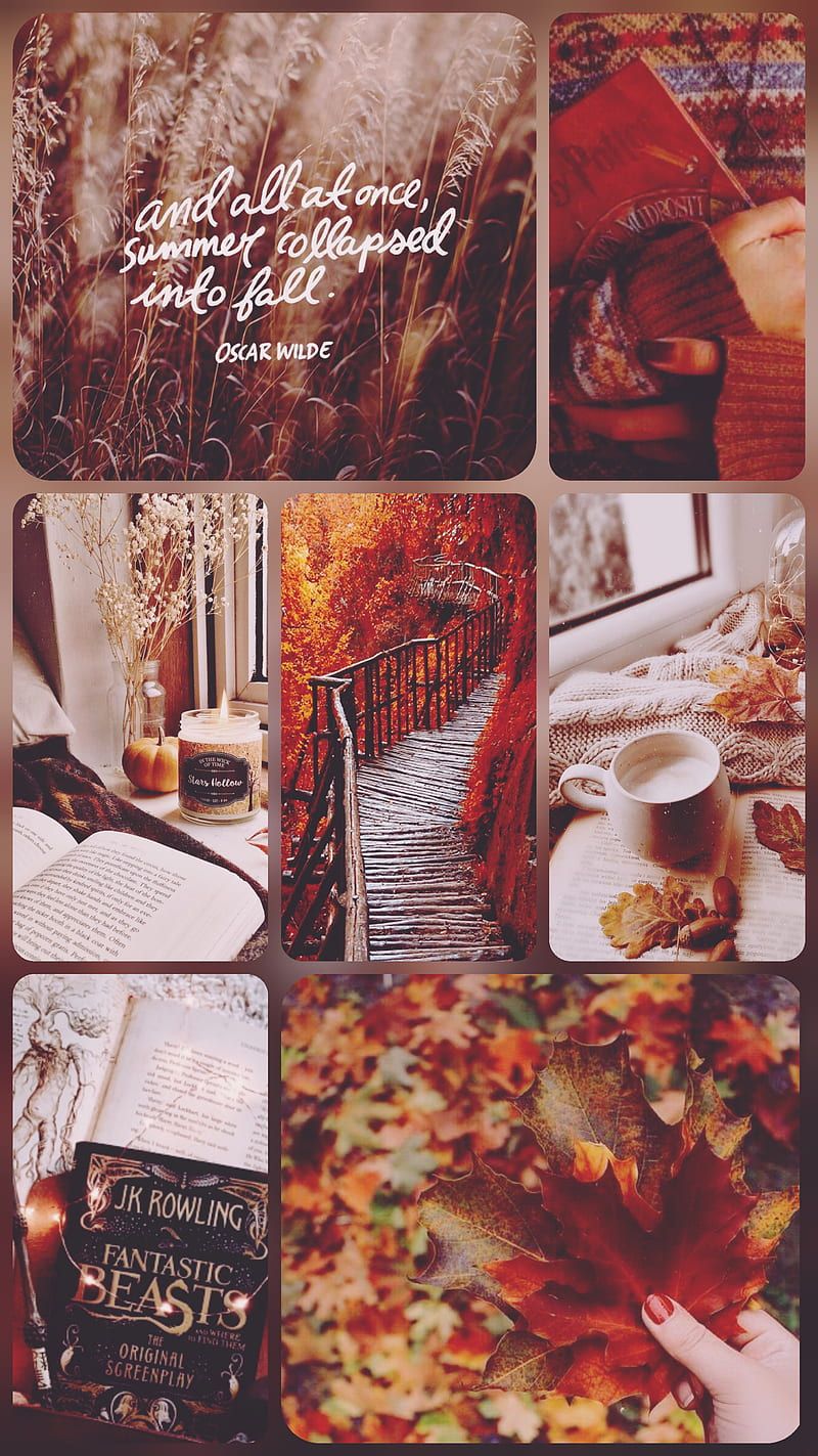 Aesthetic collage of fall pictures, including a bridge, a book, and a cup of tea. - Cozy