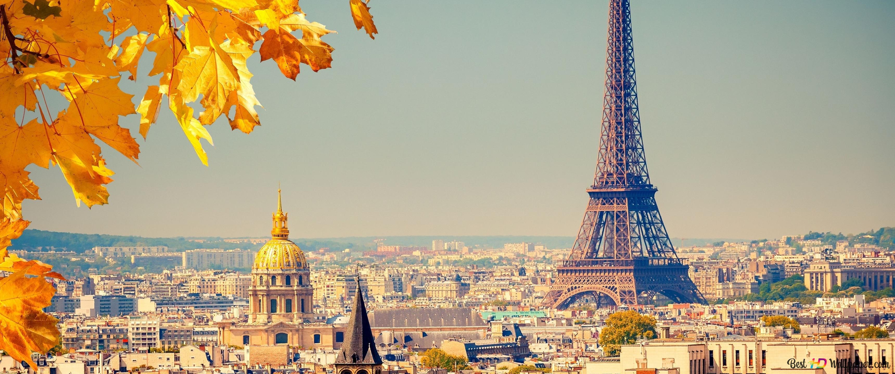 Perfect view of leaves and eiffel tower in paris city in autumn 4K wallpaper download