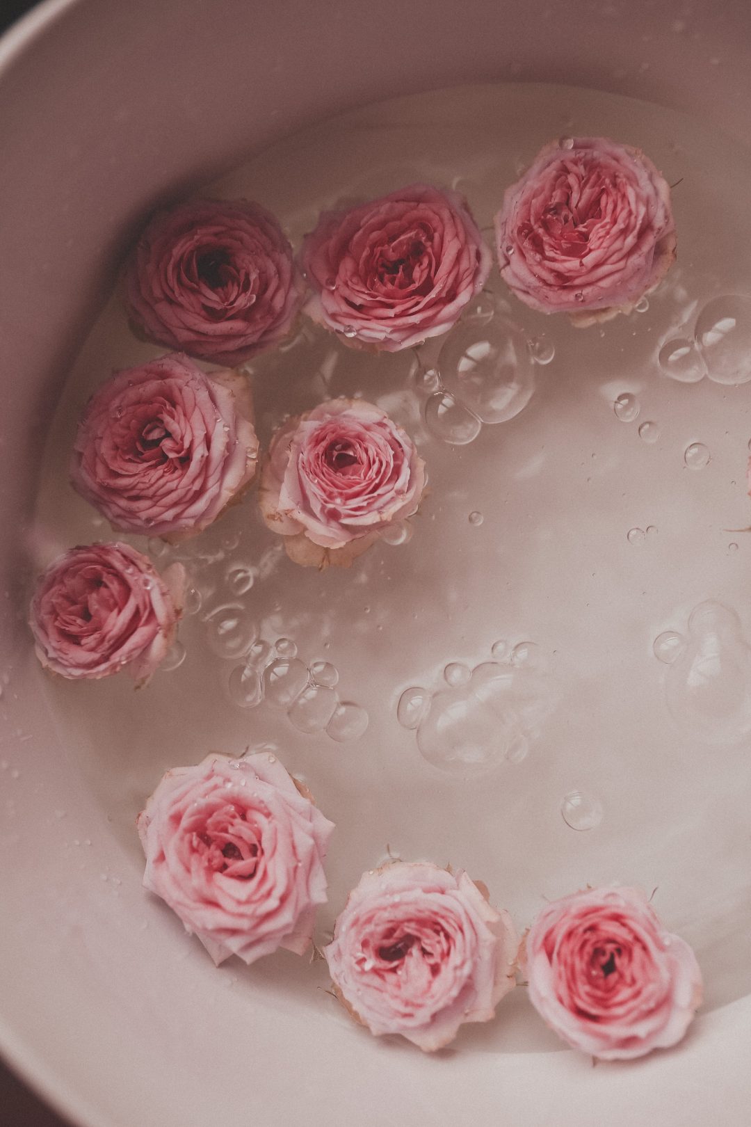 A bowl of water with pink roses in it - Roses