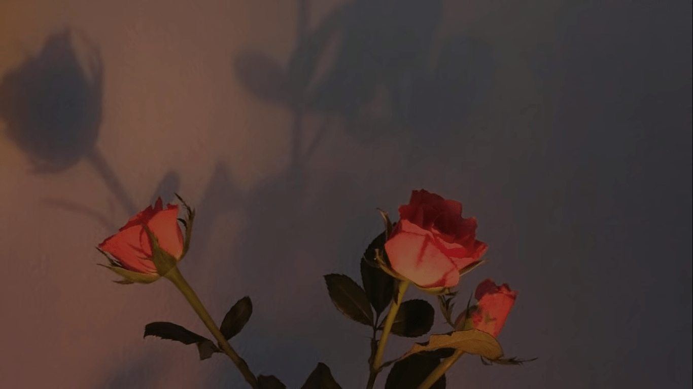 Aesthetic Roses Desktop Wallpaper