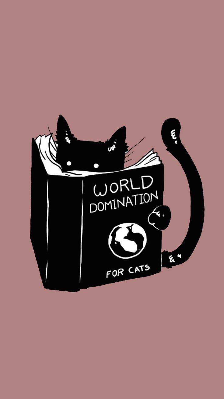 A cat sitting on top of the world domination book - Witch