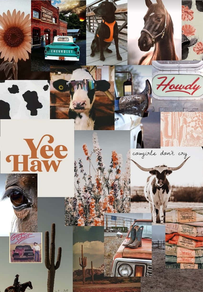 A collage of western photos including horses, cows, and cars. - Cowgirl, farm