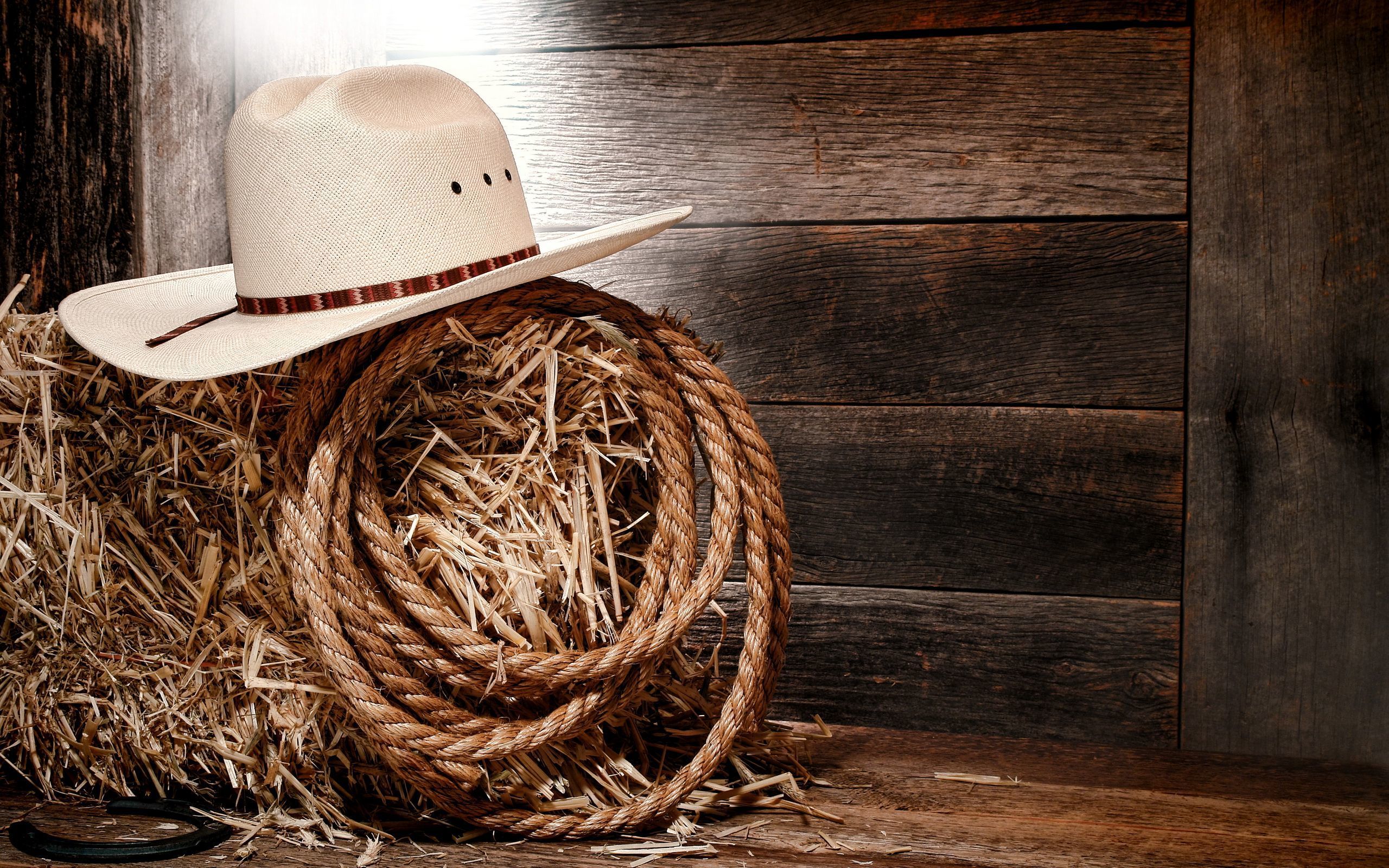 A cowboy hat and rope on top of hay - Cowgirl