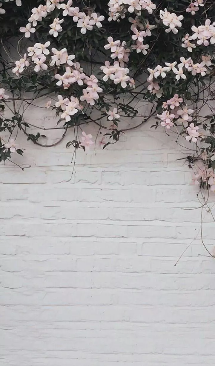 A white brick wall with pink flowers - Gray