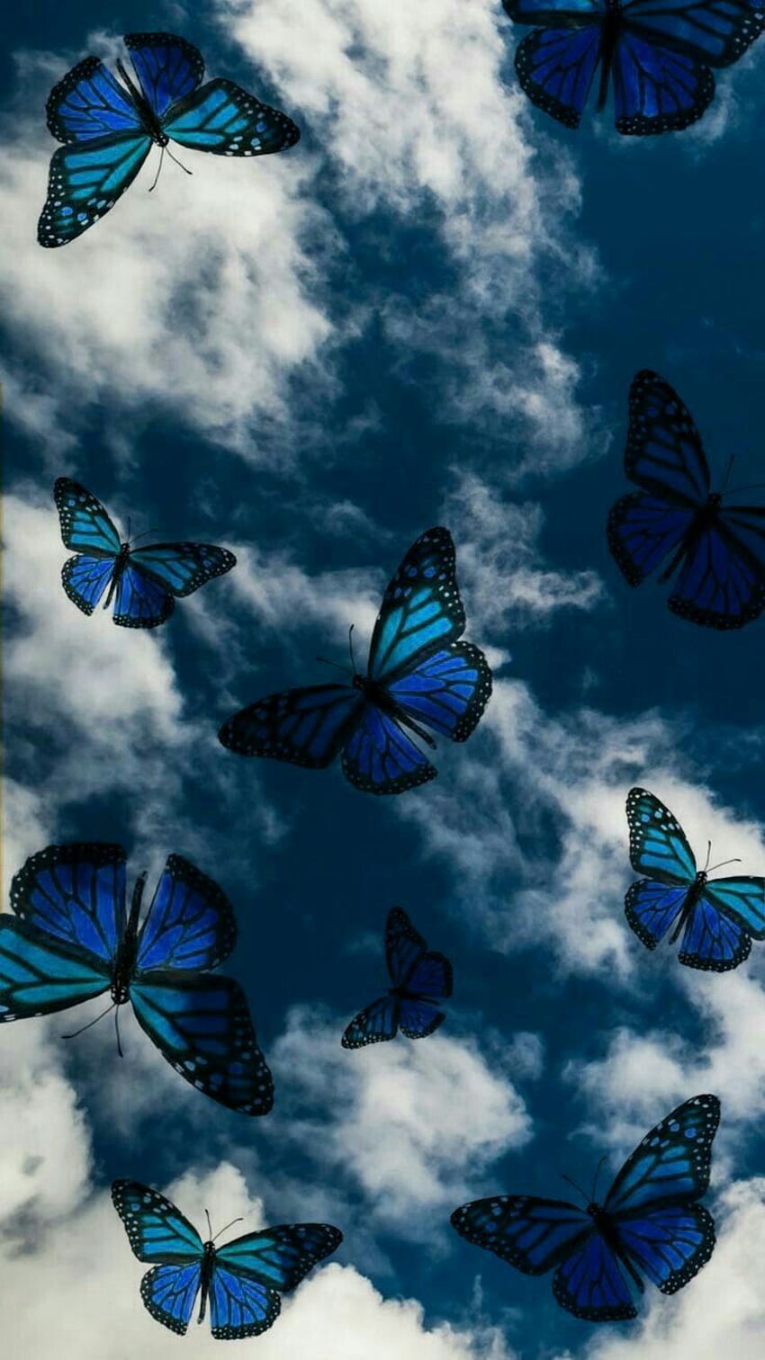 Blue butterfly wallpaper for phone and desktop. - Butterfly