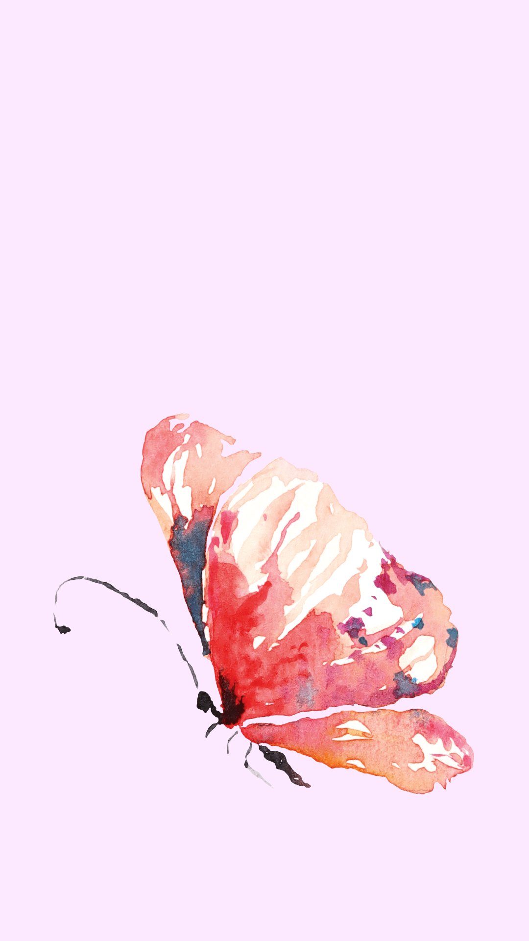 A watercolor painting of a pink butterfly on a light pink background - Butterfly