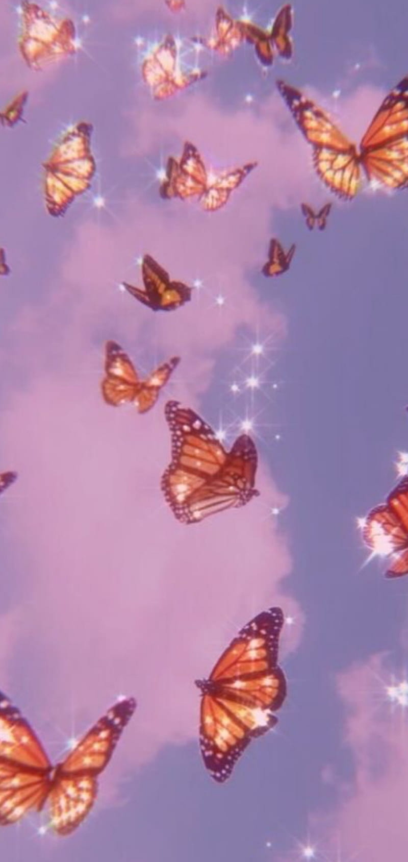 Butterflies flying in the sky wallpaper - Butterfly