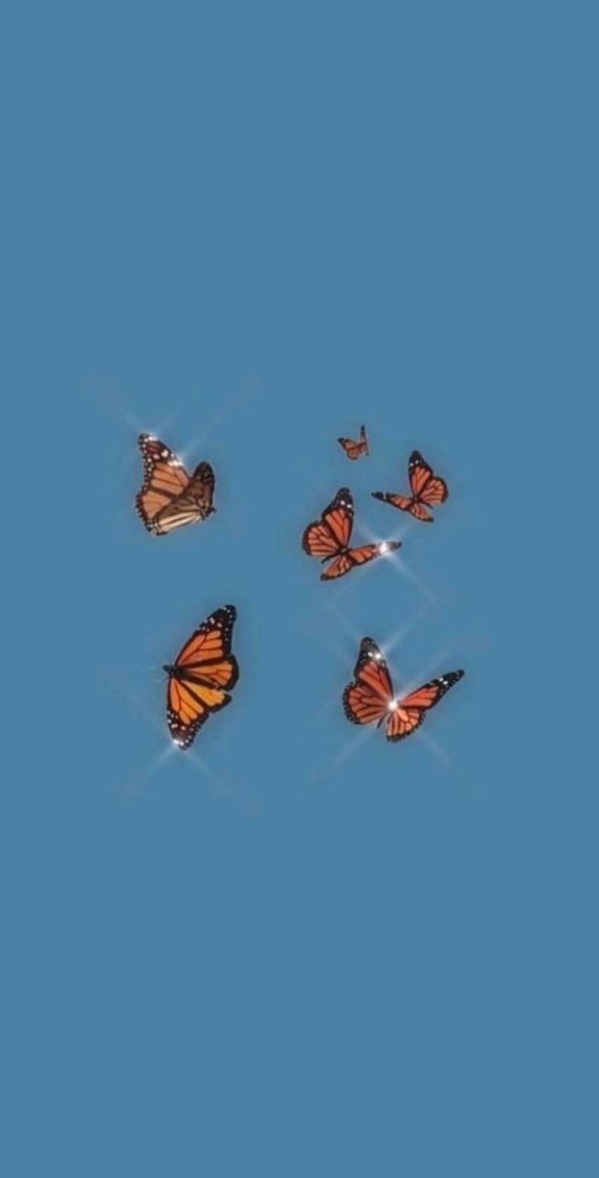 Aesthetic butterfly wallpaper for your phone or desktop background. - Butterfly
