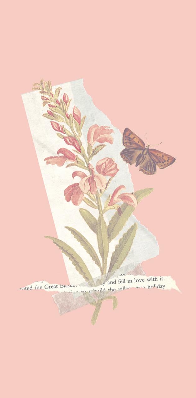 Aesthetic wallpaper of a flower and a butterfly on a torn piece of paper - Butterfly