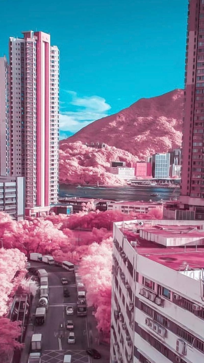 A city street with pink trees and buildings. - Japan
