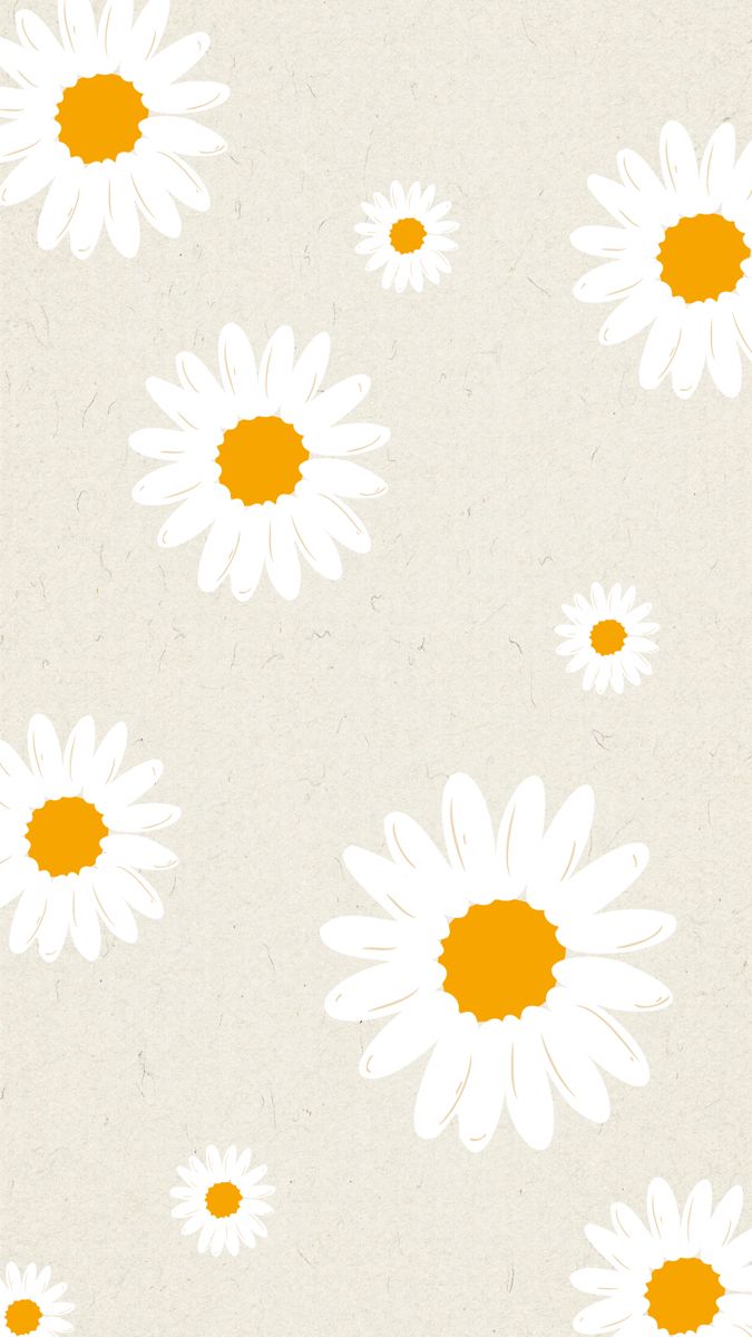 IPhone wallpaper of daisies on a white background - Daisy