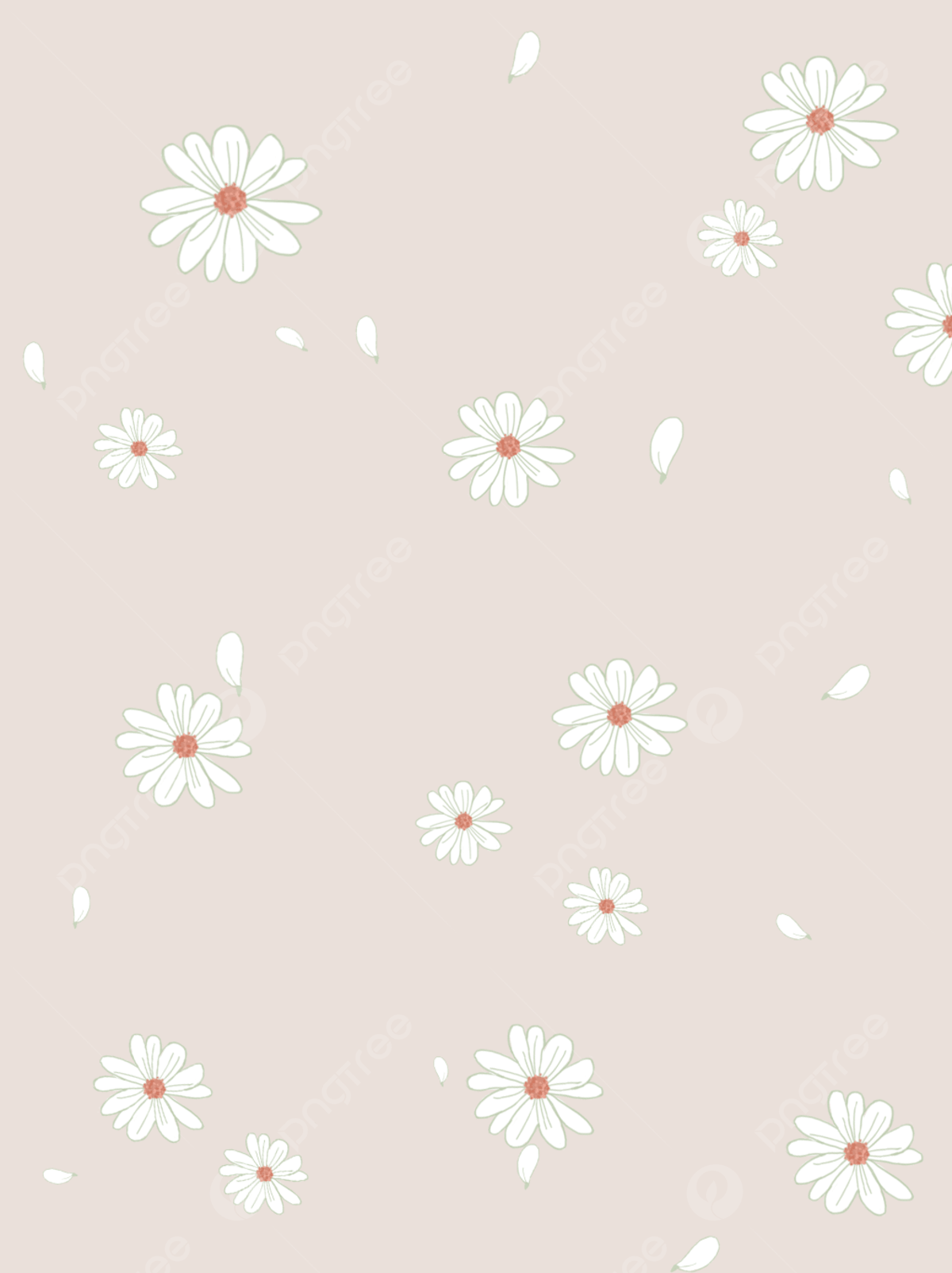 A seamless pattern of daisies on a light brown background - Daisy