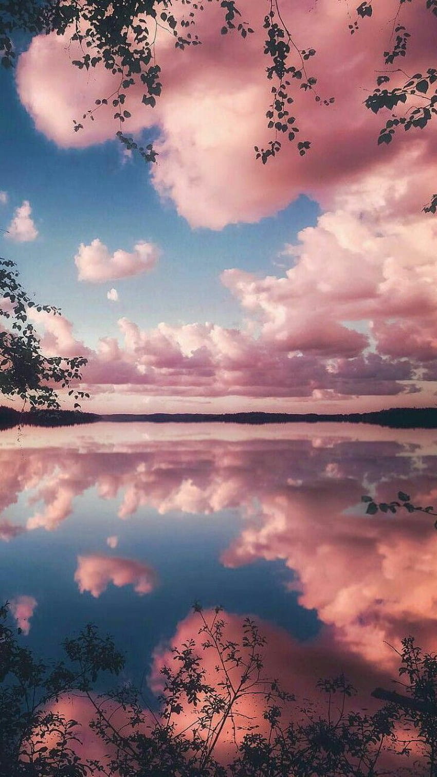 Pink clouds over a lake - Nature