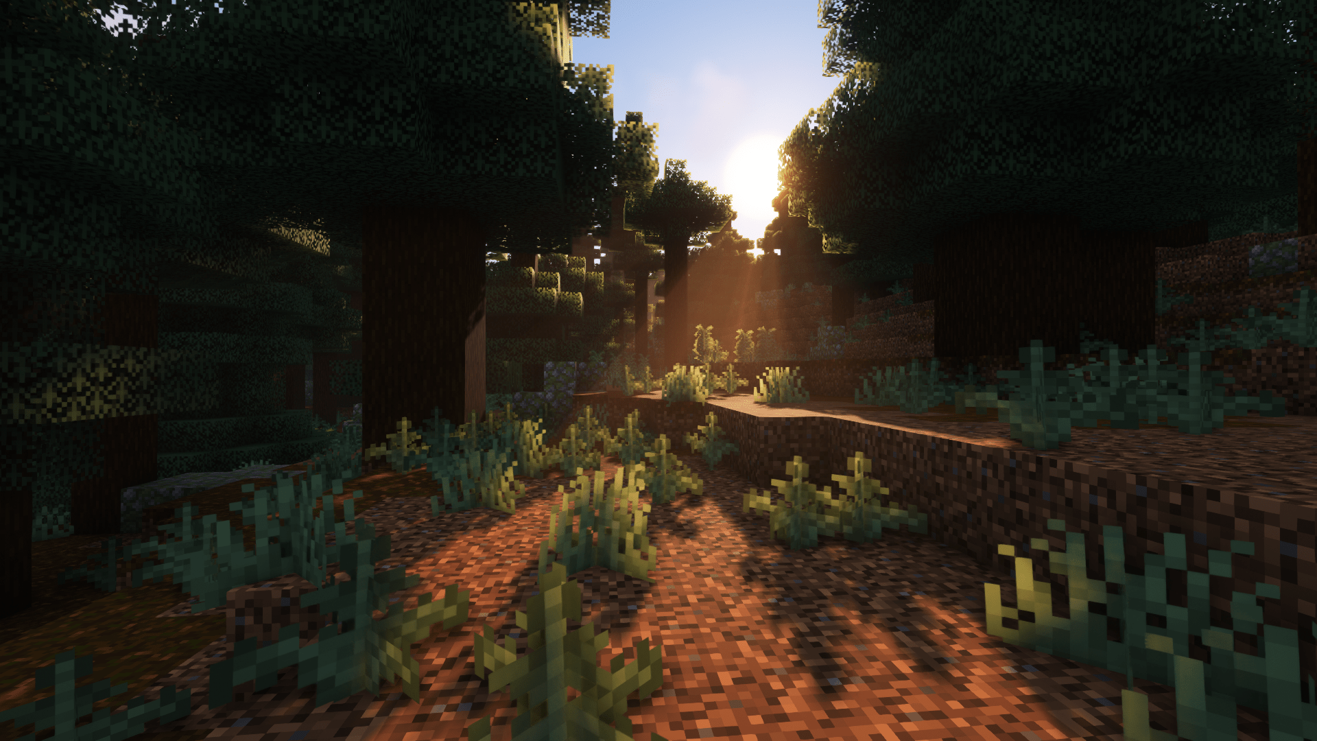 Wallpaper : Minecraft, shaders, Aestheticc Meme, video games, forest, trees 1920x1080