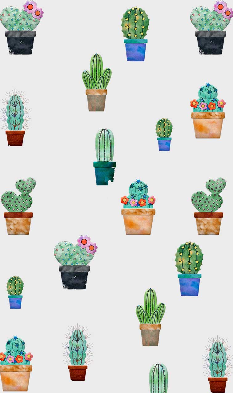Cute Cactus Illustration Wallpaper