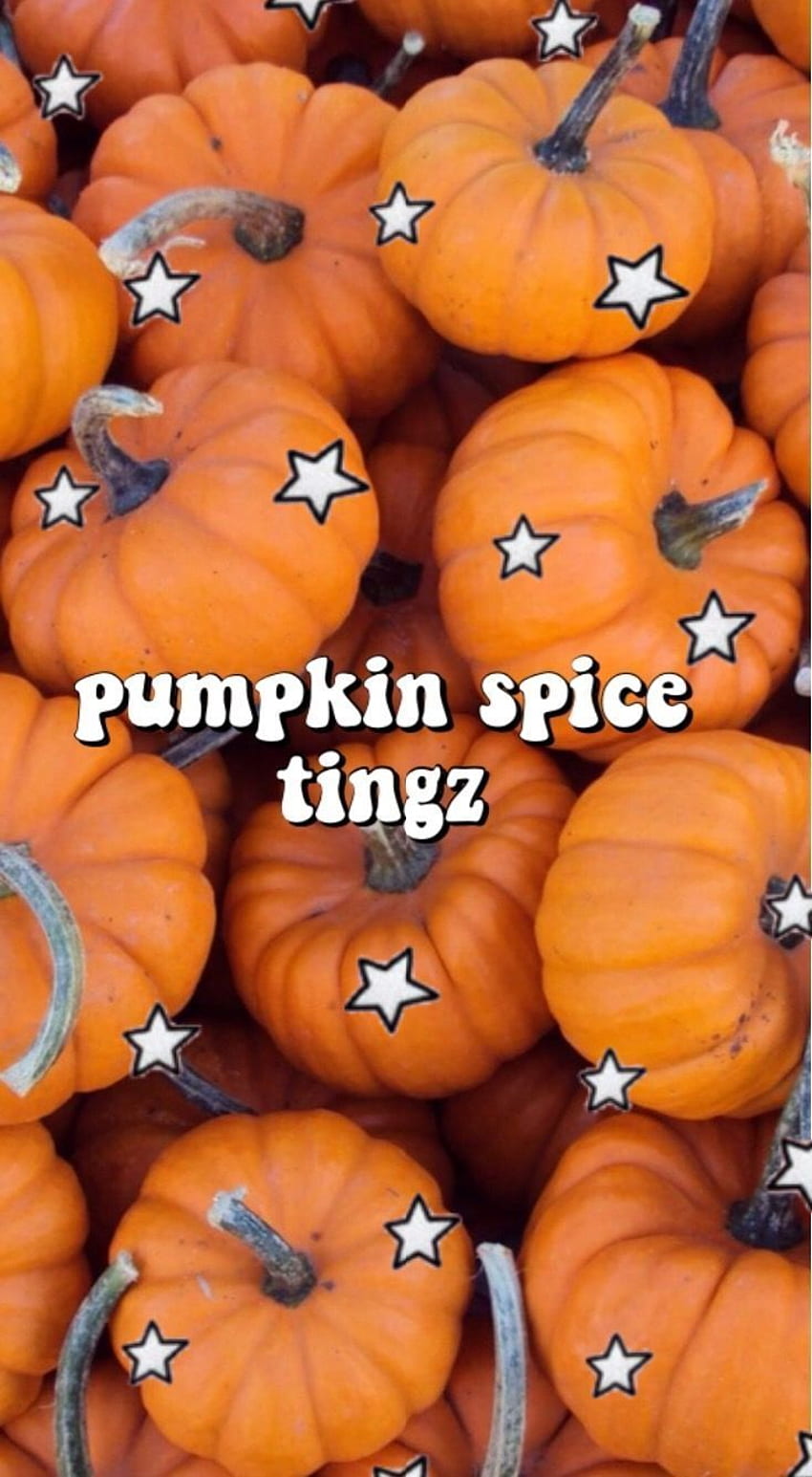 Pumpkins with the words pumpkin spice tingz - Pumpkin, cute fall