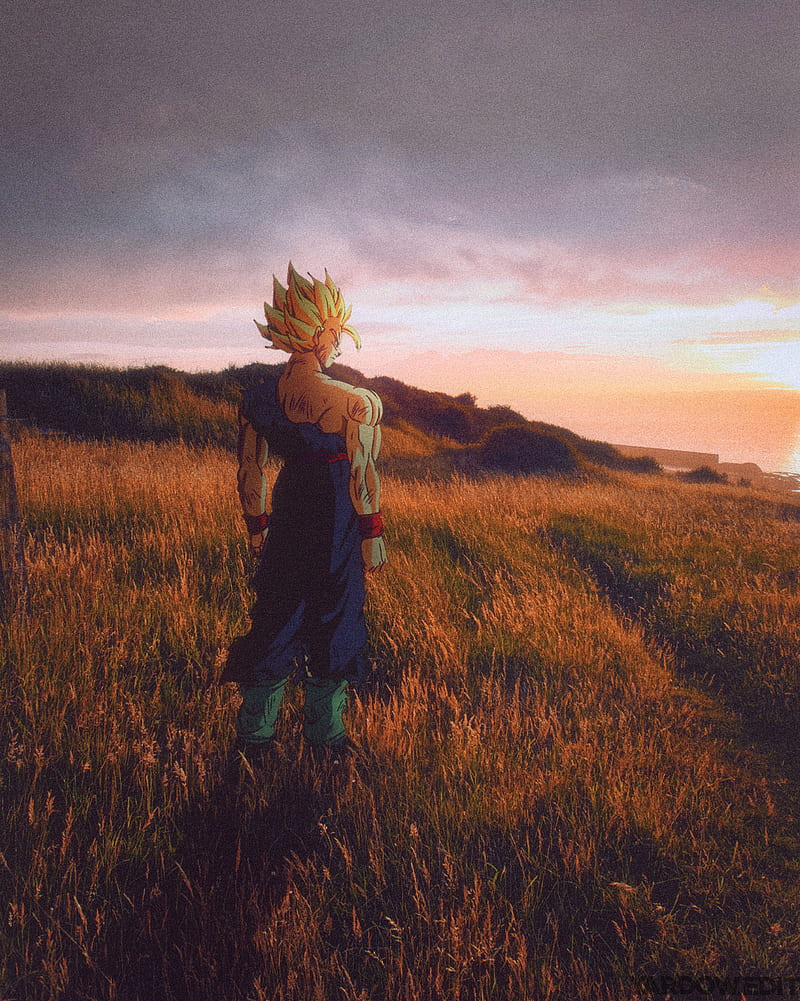 A man standing in the middle of some grass - Goku