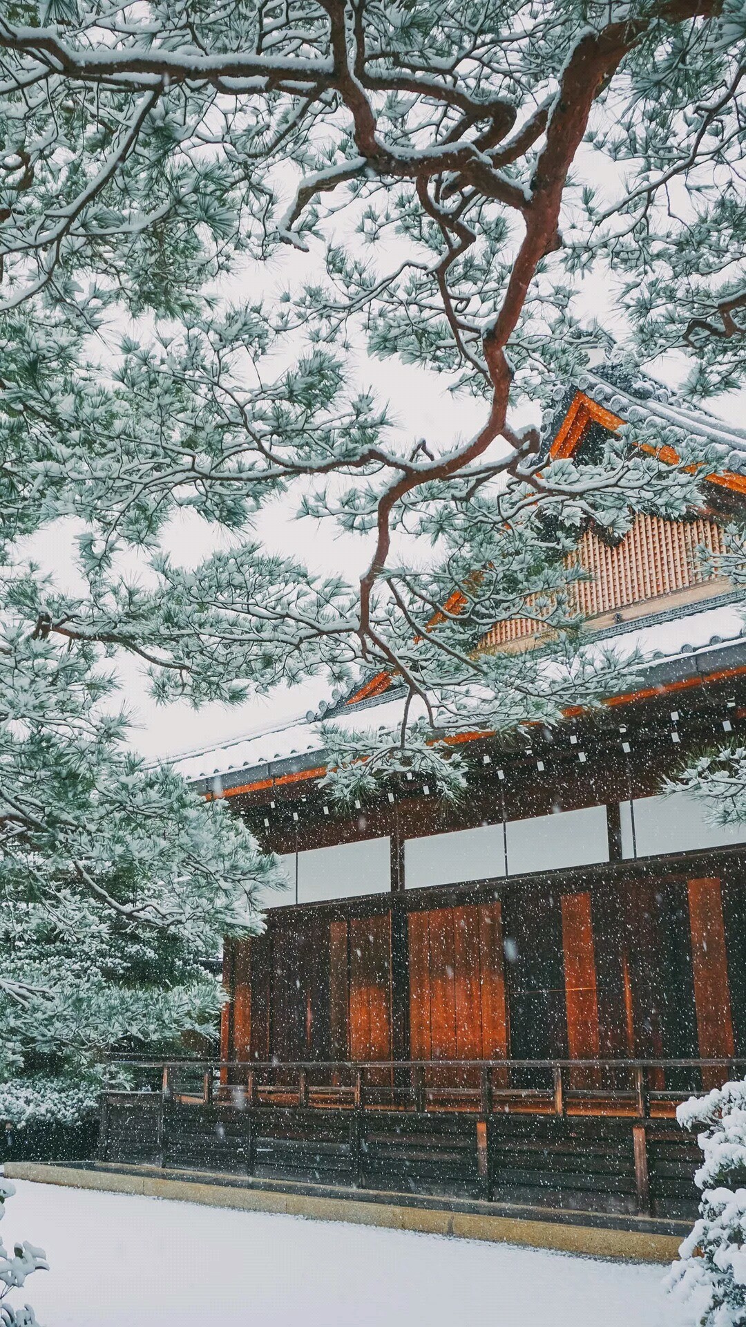 A snow covered tree and building - Snow