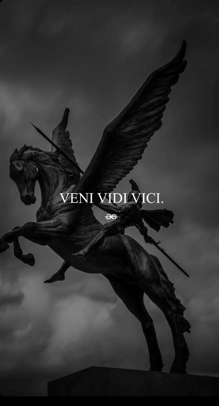 Aesthetic wallpaper of a winged horse with a sword and a quote - Gym