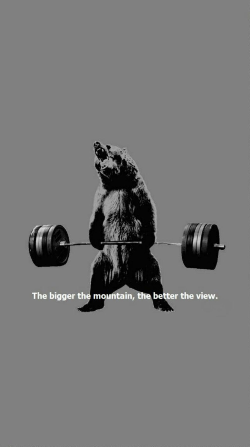 The bigger the mountain, the better the view. - Gym