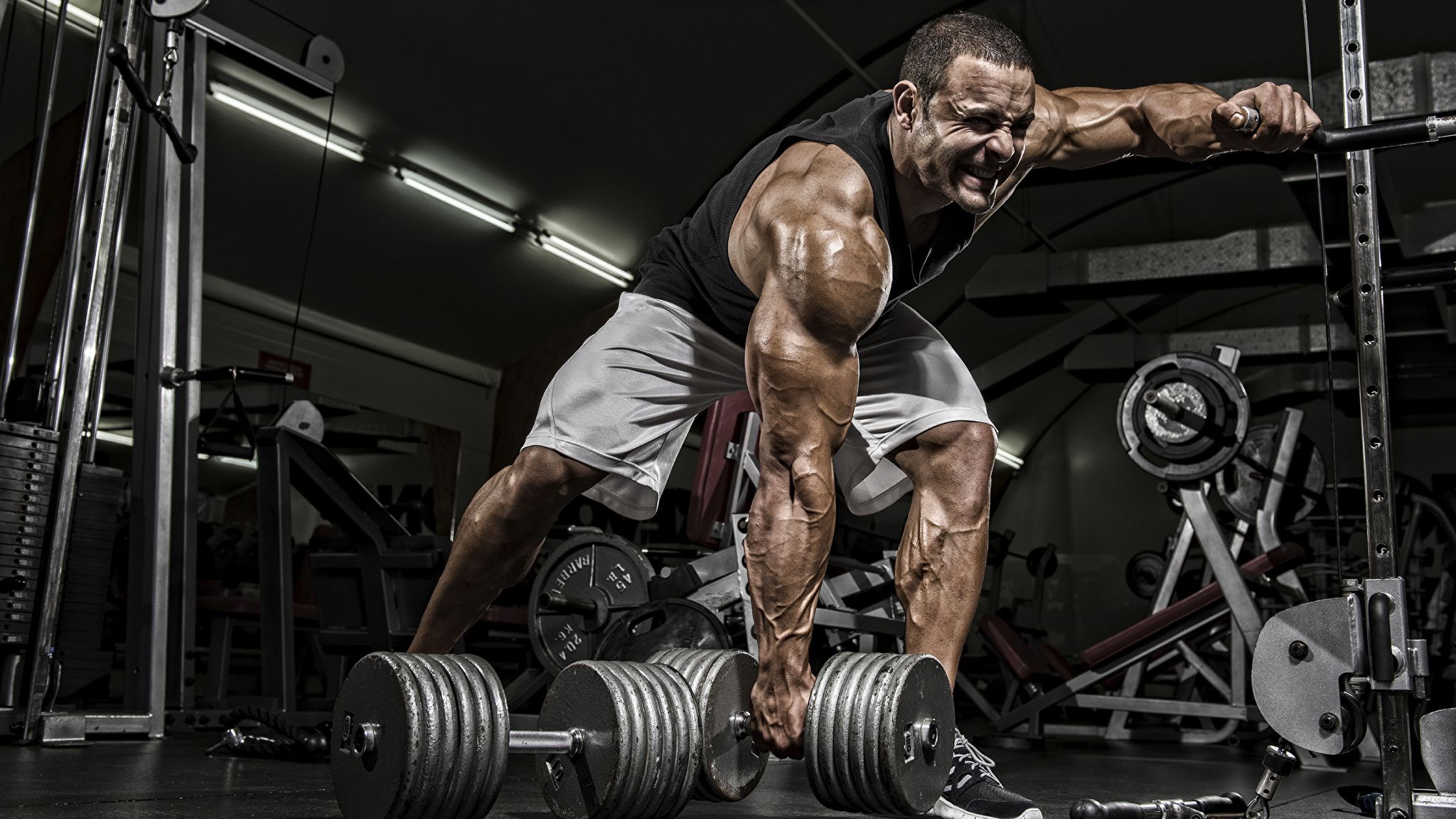 Bodybuilder doing rows with dumbbells in a gym - Gym