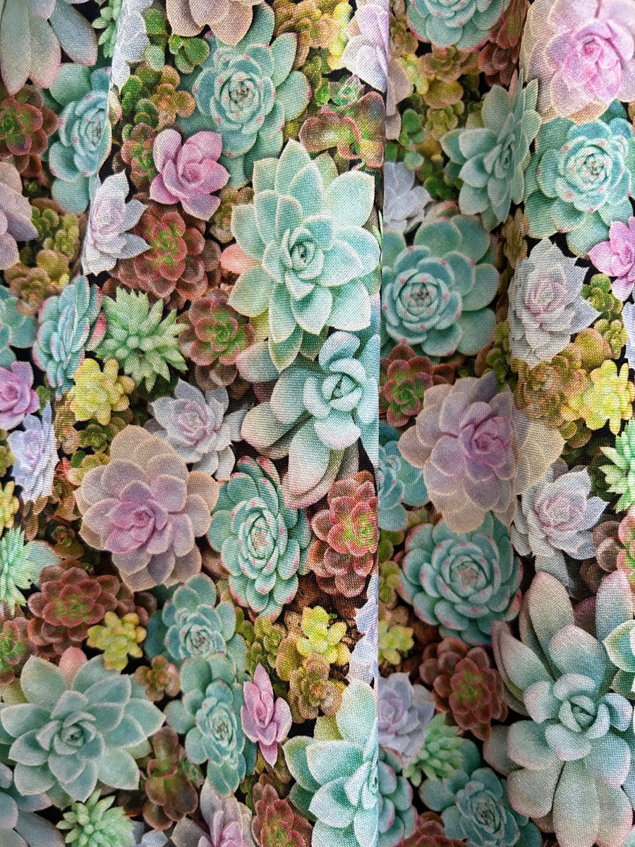 A collage of different colored succulents - Succulent