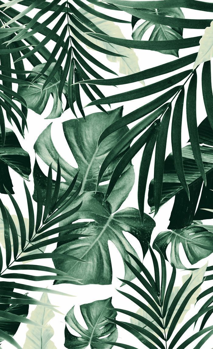 A seamless pattern of tropical leaves - Tropical, leaves