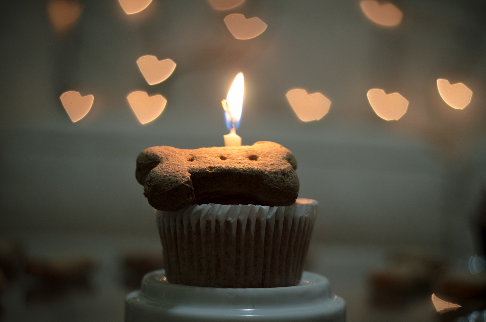 A cupcake with one lit candle on top - Birthday