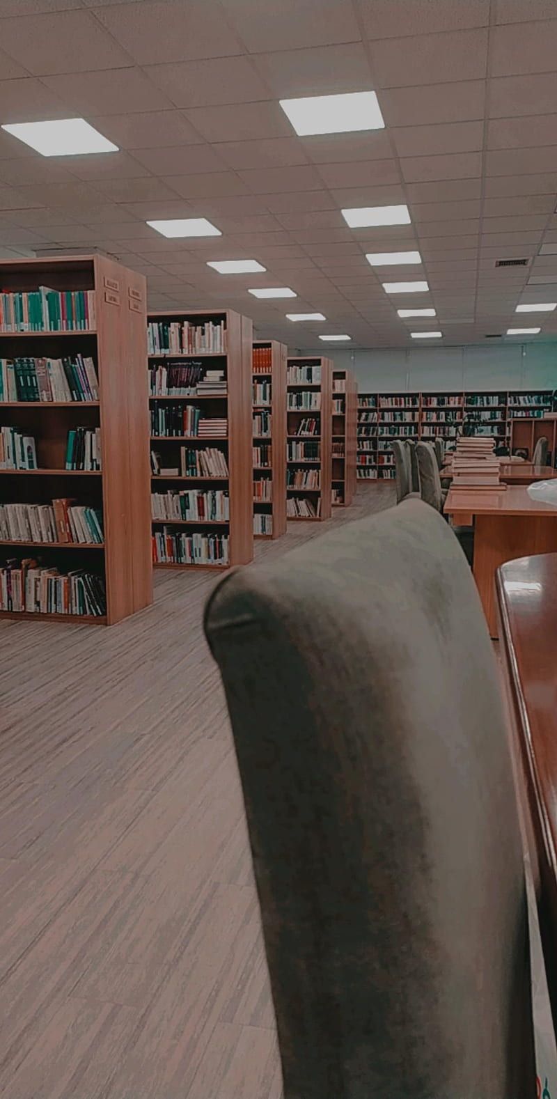 A library with many books and chairs - Library