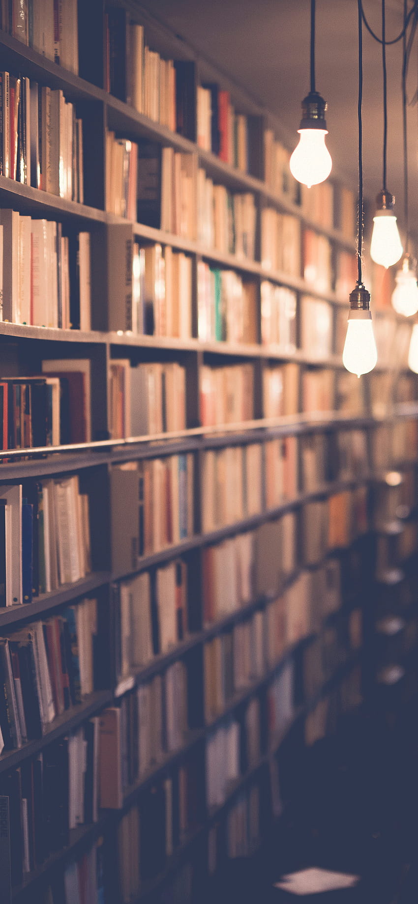 A row of bookshelves with a row of light bulbs hanging from the ceiling. - Library