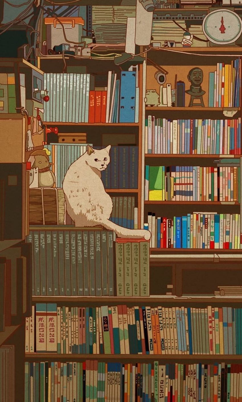 A cat sitting on a bookshelf - Books, cat, library