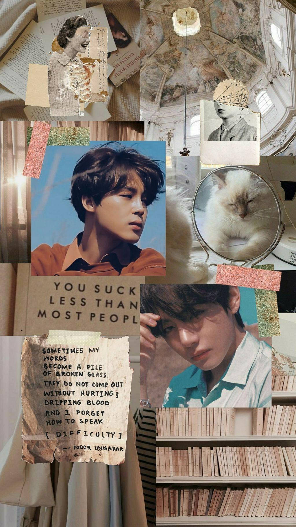 Download Vmin Library Aesthetic Wallpaper