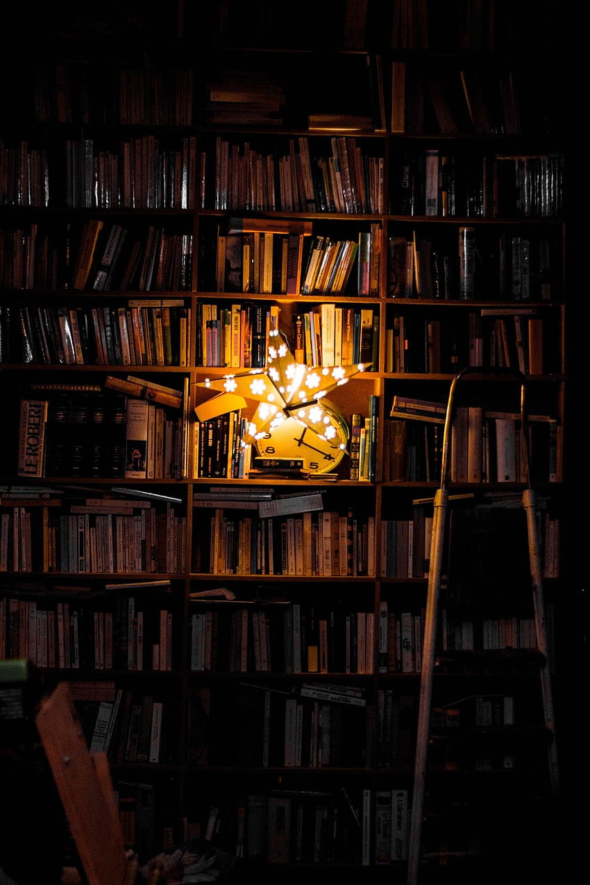 A room with a ladder and bookshelves full of books - Library