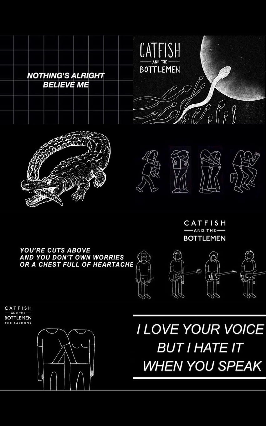 Catfishandthebottlemen indie indieband aesthetic [] for your, Mobile & Tablet. Explore Alternative Rock. Alternative Rock, Rock, Rock, Aesthetic Rock HD phone wallpaper