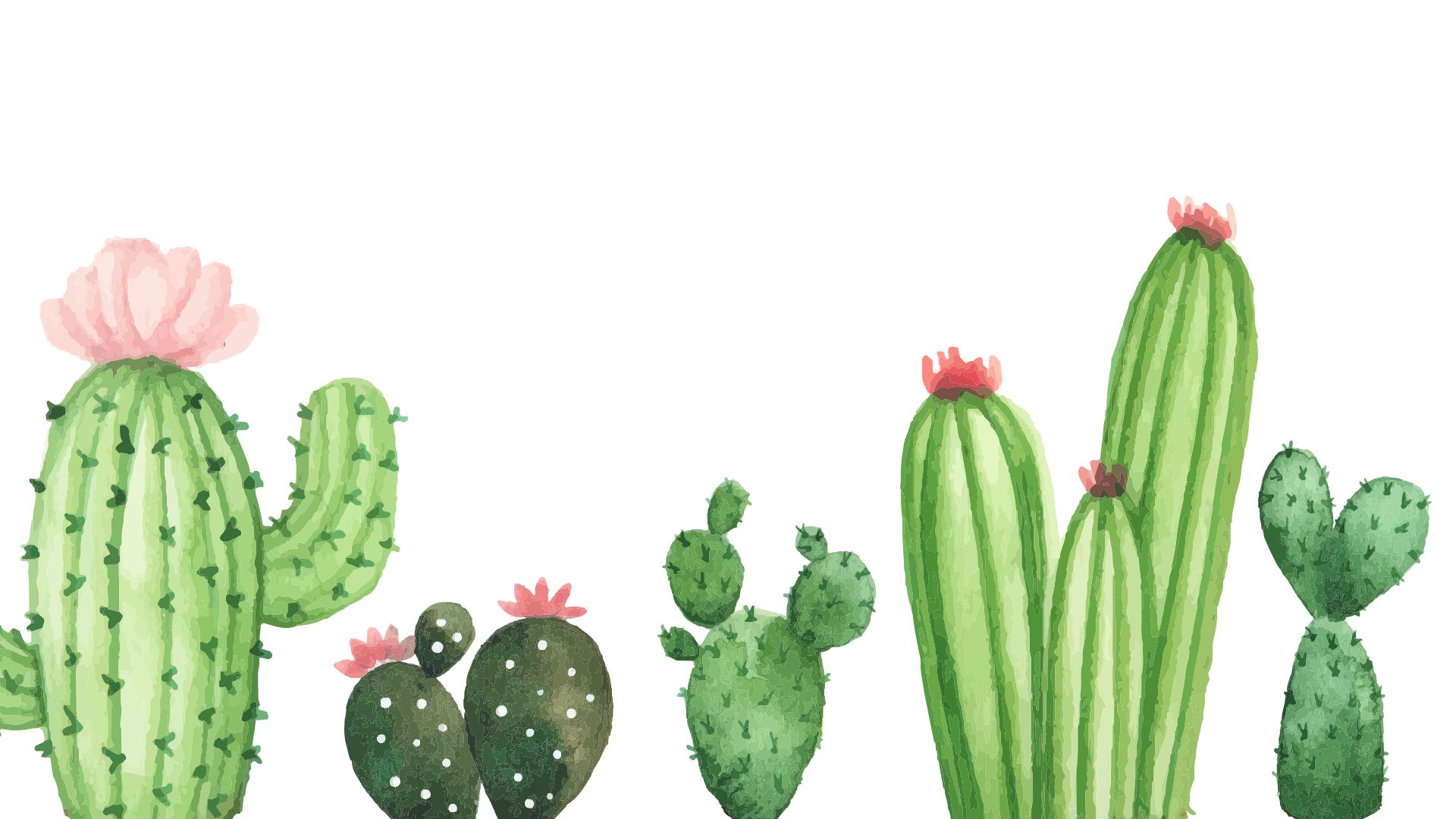A collection of watercolor cacti on a white background - Cactus