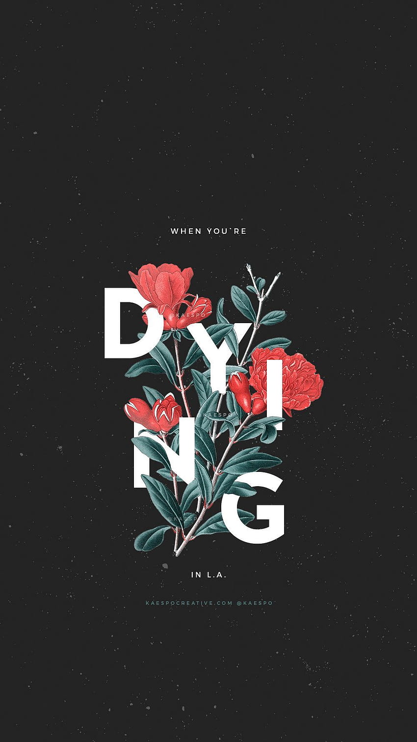 The image of dying flowers on a black background - Punk