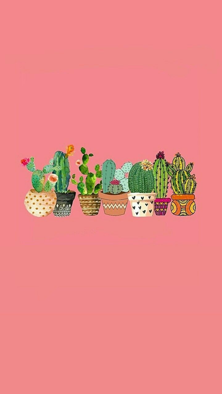 A collection of different cacti on a pink background - Cactus