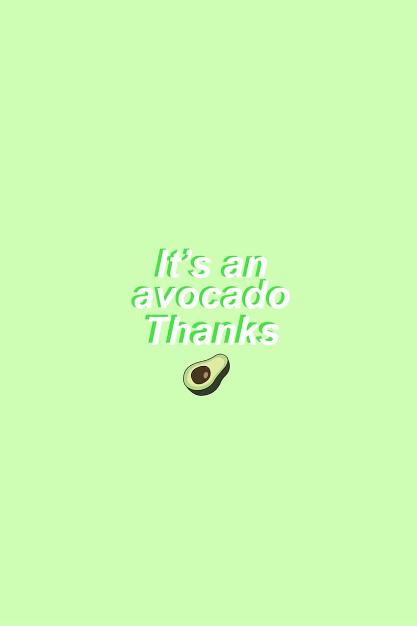 Avocado HD wallpaper