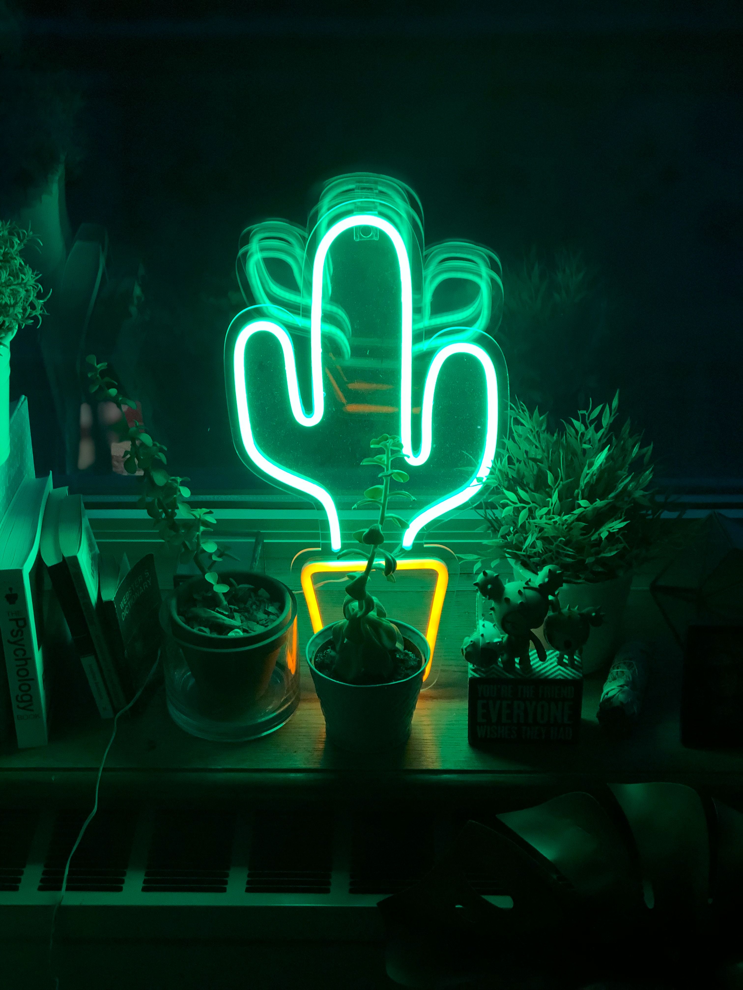 A neon cactus sign on a desk surrounded by potted plants. - Cactus