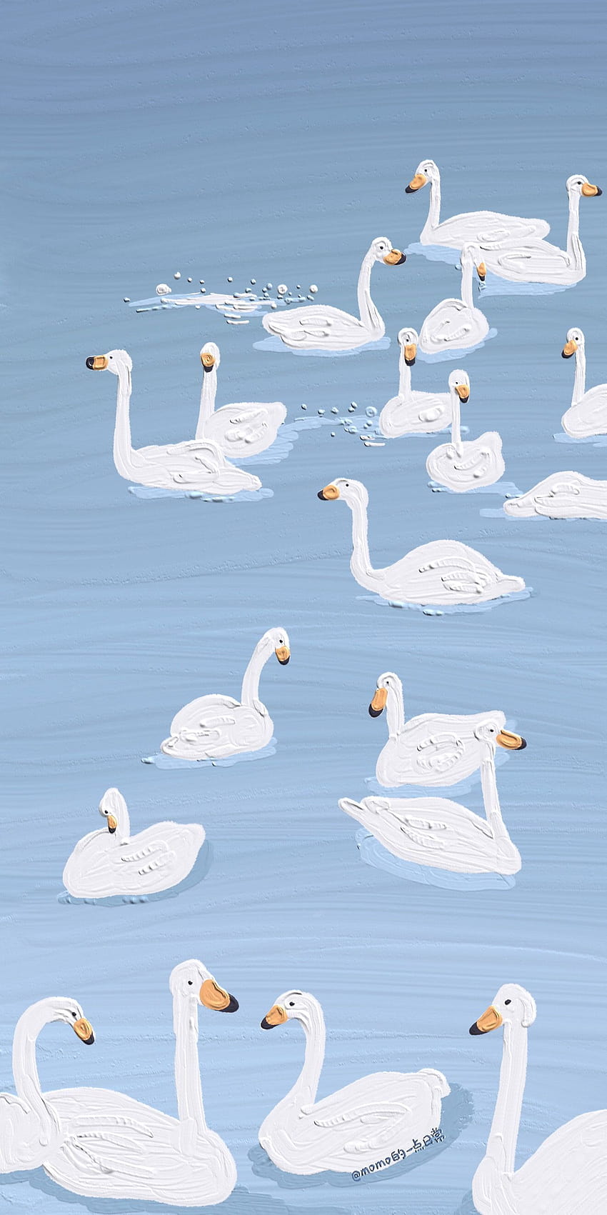 A group of swans in the water - Duck