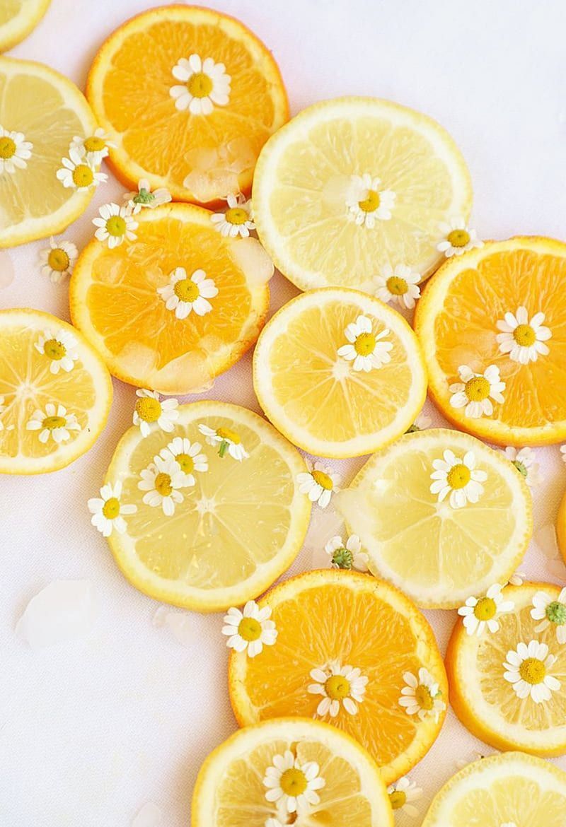 Sliced oranges and lemons with small white flowers on a white background. - Lemon