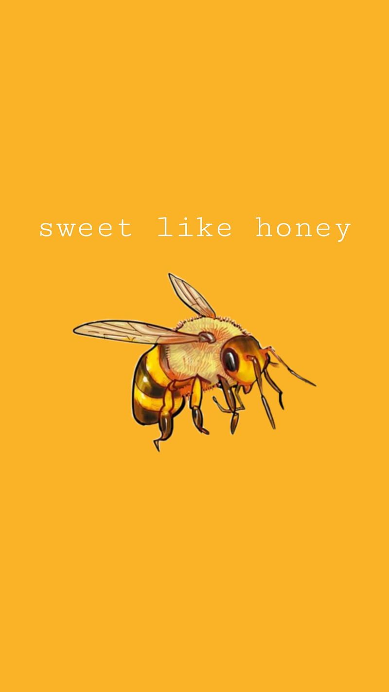 Honey bee, aesthetic, bee, honey, orange, sweet, vsco, HD phone wallpaper