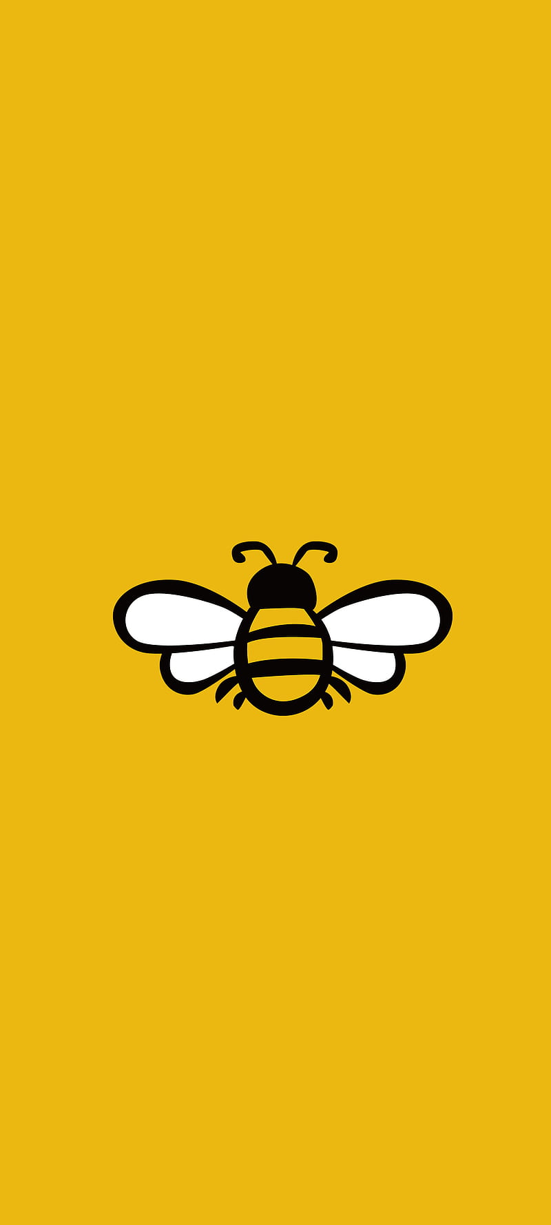 Royal Honey Bee, gold, honeybee, honeycomb, jewelry, HD phone wallpaper