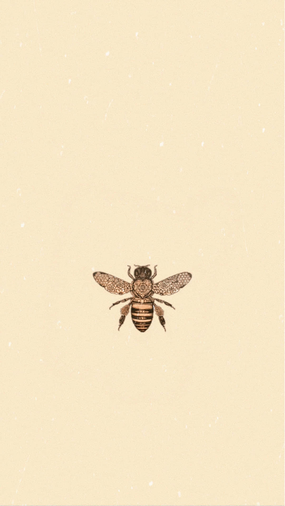 A brown and black bee on a brown background - Bee
